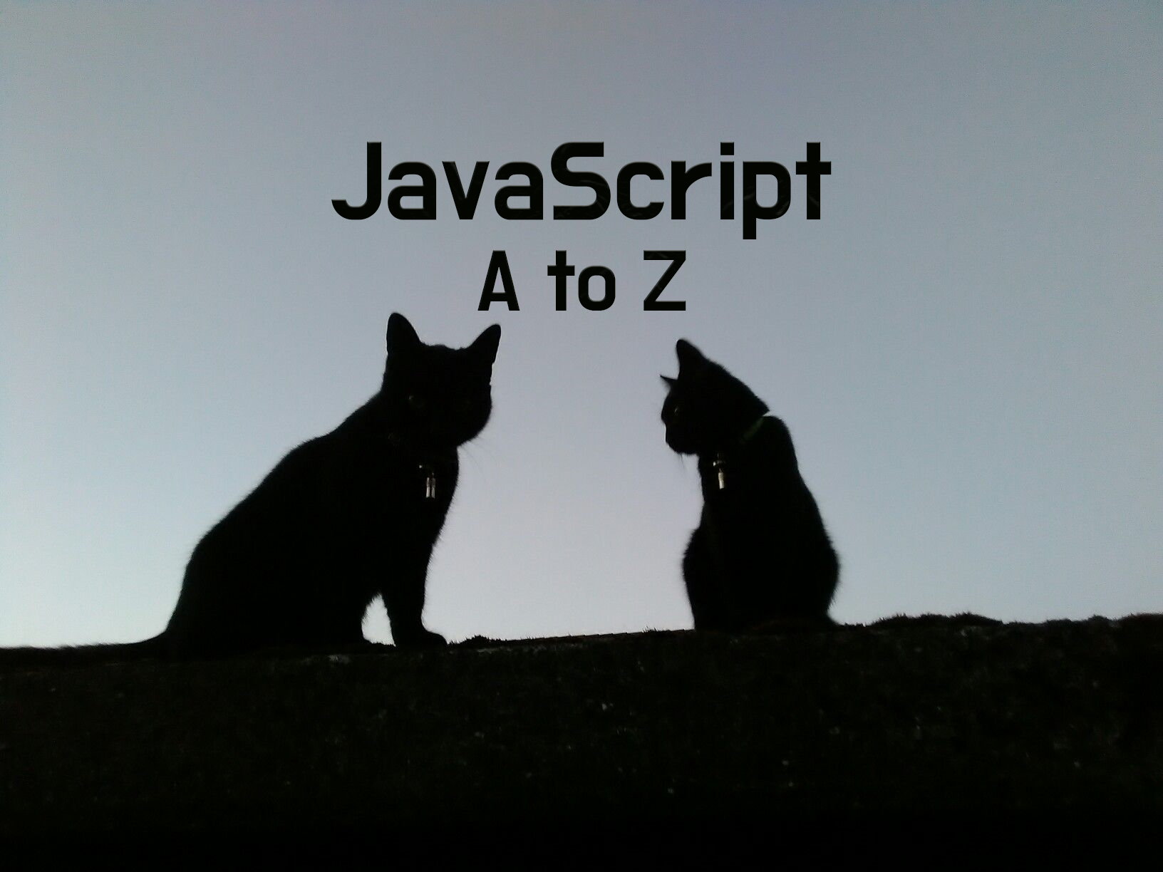 JavaScript